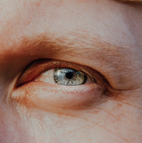 homepage gallery new